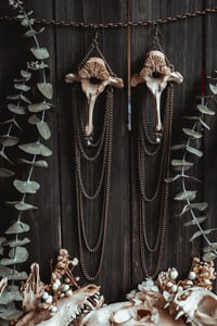 Image 3 of Wild bone earrings 