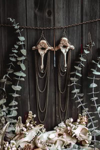 Image 4 of Wild bone earrings 