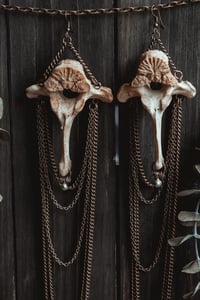 Image 5 of Wild bone earrings 
