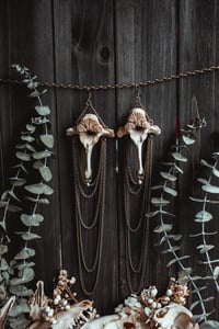 Image 6 of Wild bone earrings 