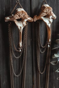 Image 7 of Wild bone earrings 