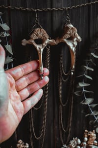 Image 8 of Wild bone earrings 