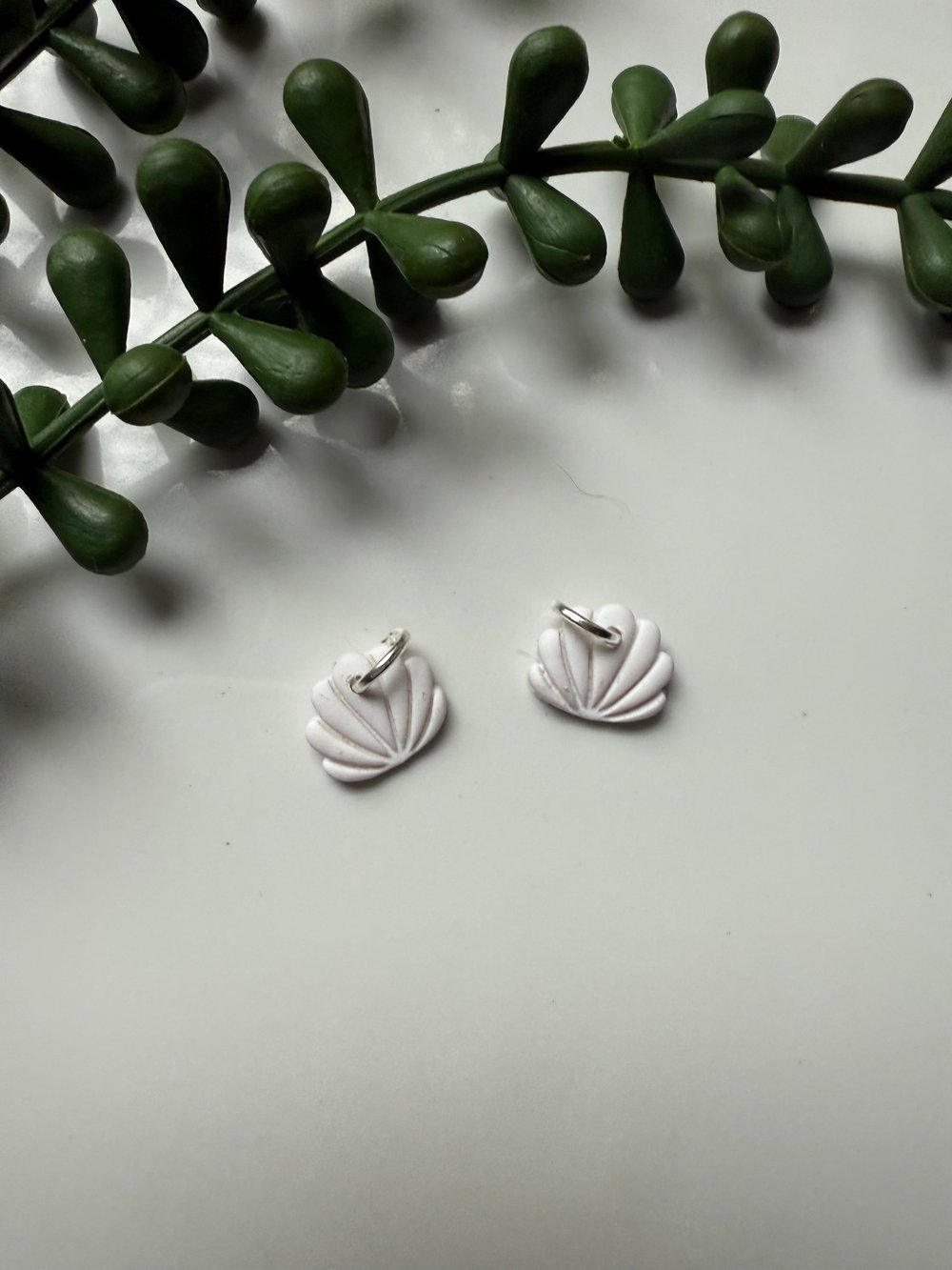Image of White Shell Sleeper Charms