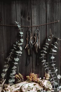 Image 1 of wildling ribs
