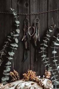 Image 5 of wildling ribs