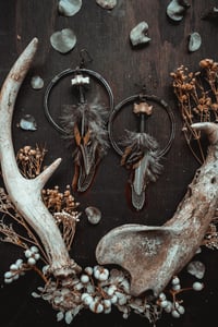 Image 1 of Encircled 