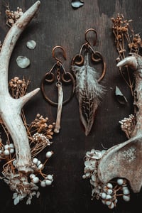 Image 1 of Feathers and bone