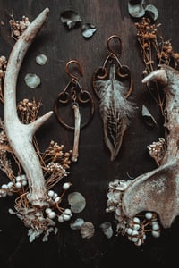 Image 2 of Feathers and bone