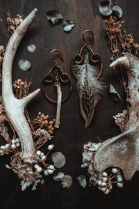Image 3 of Feathers and bone