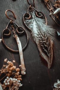 Image 4 of Feathers and bone
