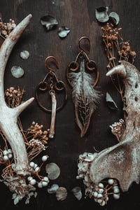 Image 5 of Feathers and bone