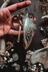 Image 6 of Feathers and bone
