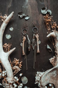 Image 1 of Untamed charms 
