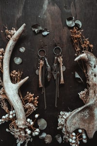 Image 2 of Untamed charms 