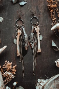 Image 3 of Untamed charms 