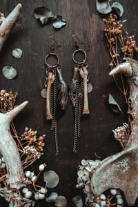 Image 4 of Untamed charms 