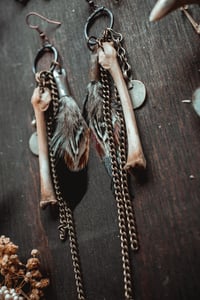 Image 5 of Untamed charms 
