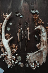 Image 6 of Untamed charms 
