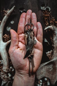 Image 7 of Untamed charms 