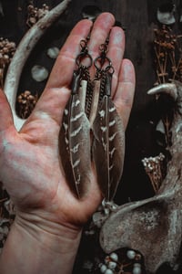 Image 5 of wild chime