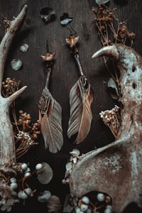 Image 4 of feather drops 