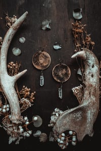 Image 1 of crystal moon