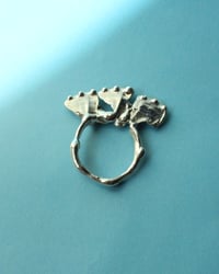 Image 3 of shell ring II