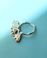 Image 1 of shell ring II