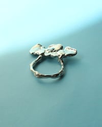 Image 5 of shell ring II