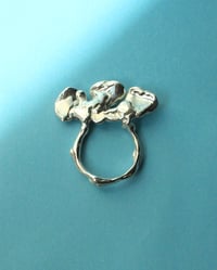 Image 4 of shell ring II