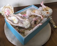 Image 2 of White Salamander 