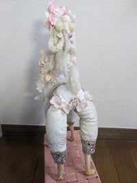 Image 3 of 白い鹿　White Doe