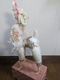 Image 4 of 白い鹿　White Doe