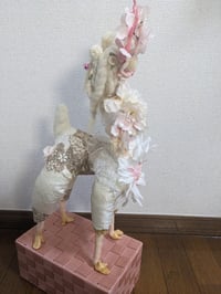 Image 5 of 白い鹿　White Doe