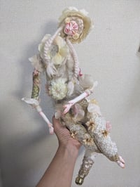 Image 5 of White Salamander 