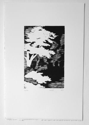 La forêt
