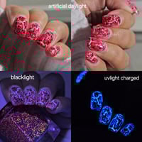 Image 17 of Summer Salute