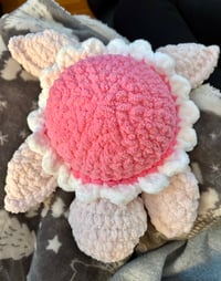 Image 3 of Pink Daisy Sea Turtle 