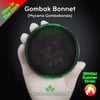 Gombak Bonnet (Mycena Gombakensis) Live Mycelium Mushroom Culture Spawn