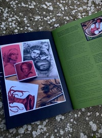 Image 8 of The Wandering Wizard Issue Two