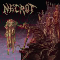 NECROT Mortal. Picture LP
