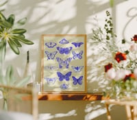 Image 1 of La collection de papillons