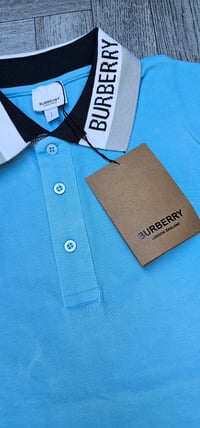 Image 4 of Mens BlueB polo Tshirts (1:1)