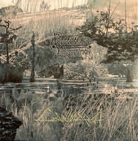 Rigorous Institution – Cainsmarsh LP 