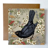 Image 1 of BLACKBIRD 