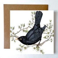 Image 1 of Blackbird blank card