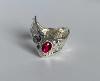 Image 1 of Vénus - Collection Velours