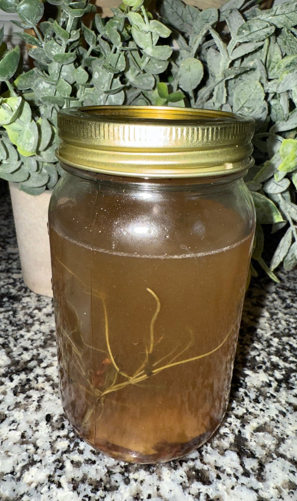 Image of 3 Bottles- Natural Mouthwash (Comes to you strained)