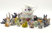 One Custom Tea Pet by Leslie Levings