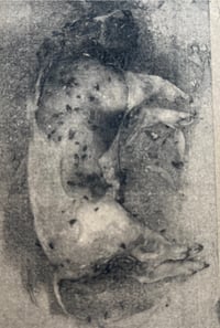 Image 1 of Pollutant - There Is Beauty In A Corpse
